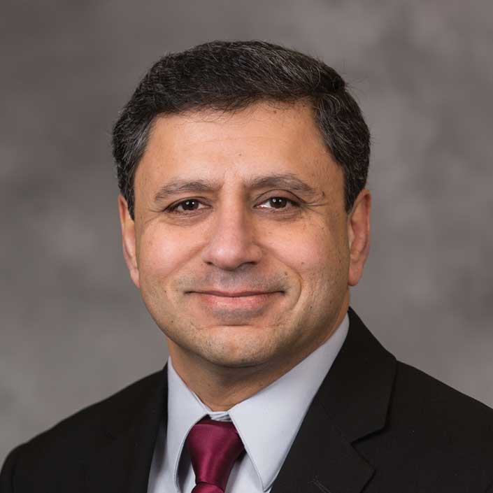 Portrait of Dr. Gianchandani, Yogesh B.